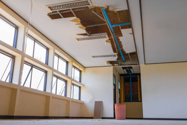 Best Sewage cleanup and water damage restoration  in Derby, CO