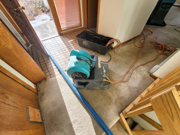  Derby, CO Water damage restoration Pros