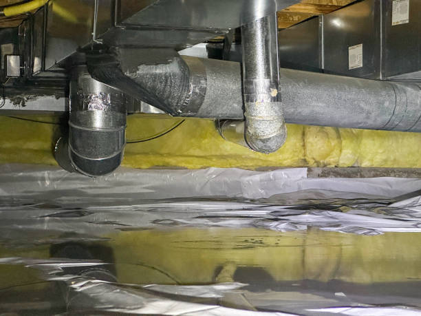 Best Flood damage cleanup  in Derby, CO